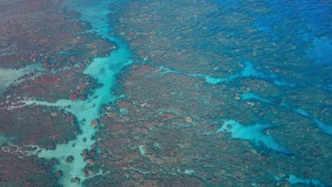 aerial view of coral reef