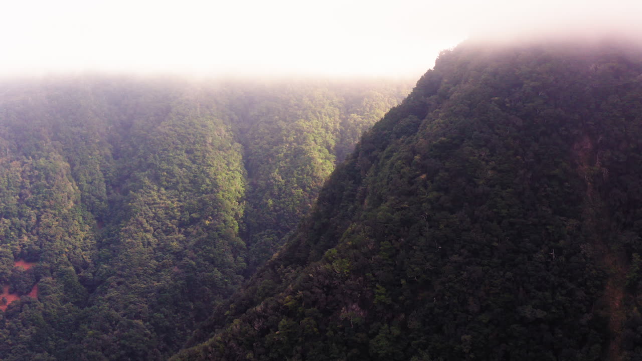 toma aérea de drones de gigantescas montañas cubiertas de vegetación durante un día nublado y soleado en la isla de madeira, portugal