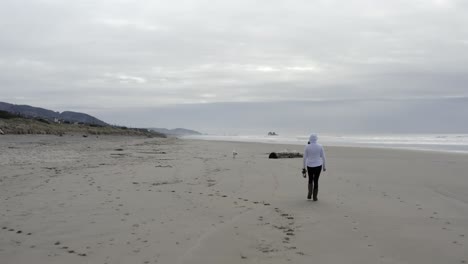 female walking on beach alone, with dog, low angle aerial view