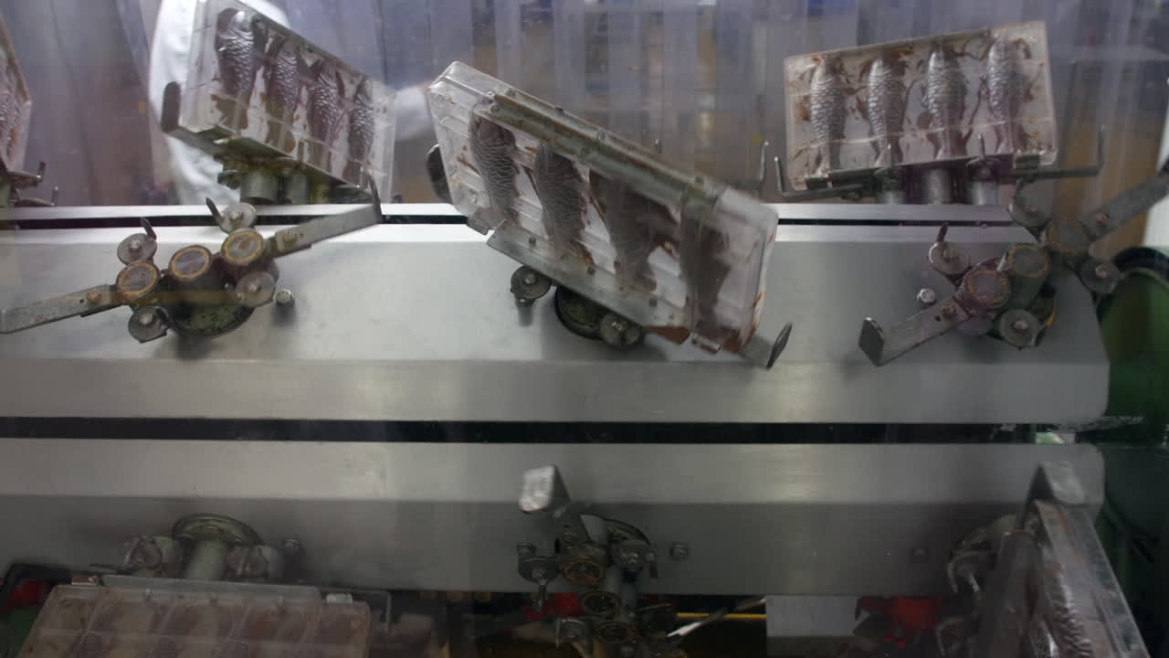 A chocolate molding machine rotates clear trays filled with fish-shaped chocolates. The molds are coated and set as part of the production process in the sweet factory