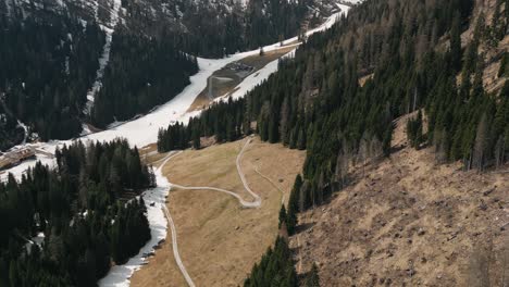 sloping mountain trails and pine trees near dolomites in northeastern italy