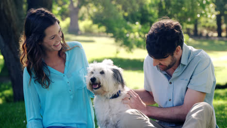 Couple-playing-with-their-dog-in-the-park