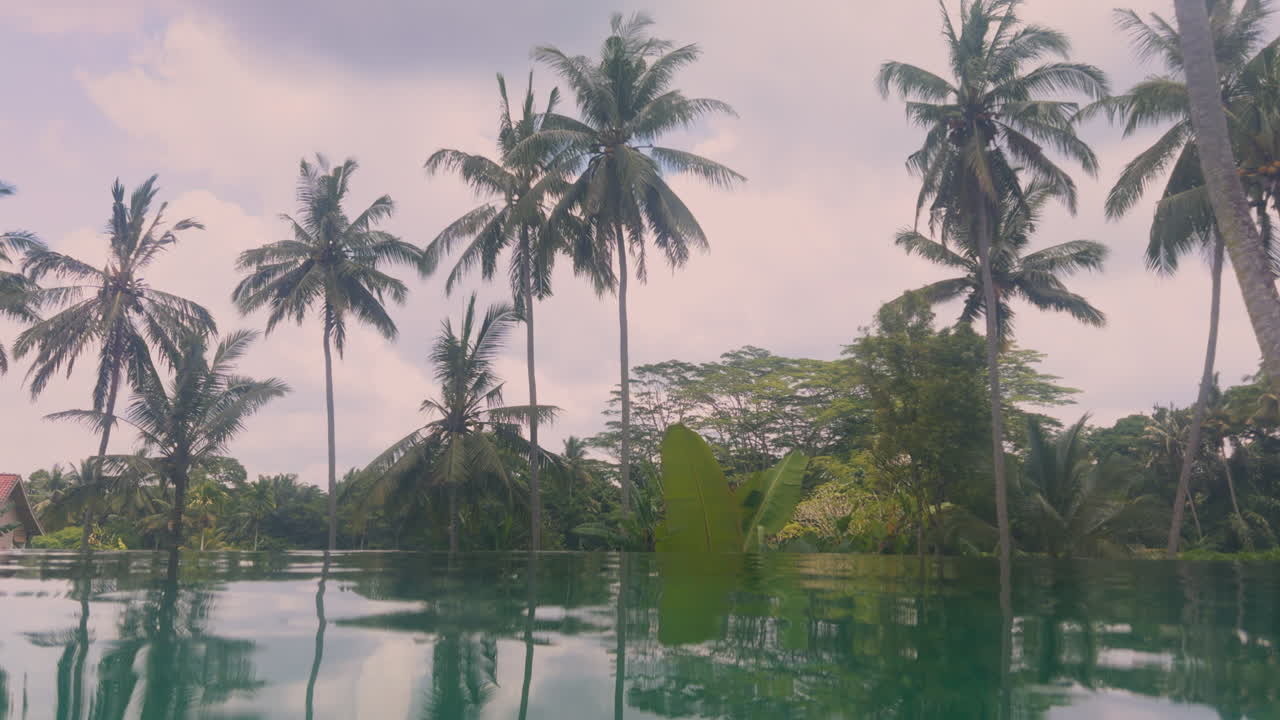 luxury swimming pool with palm trees