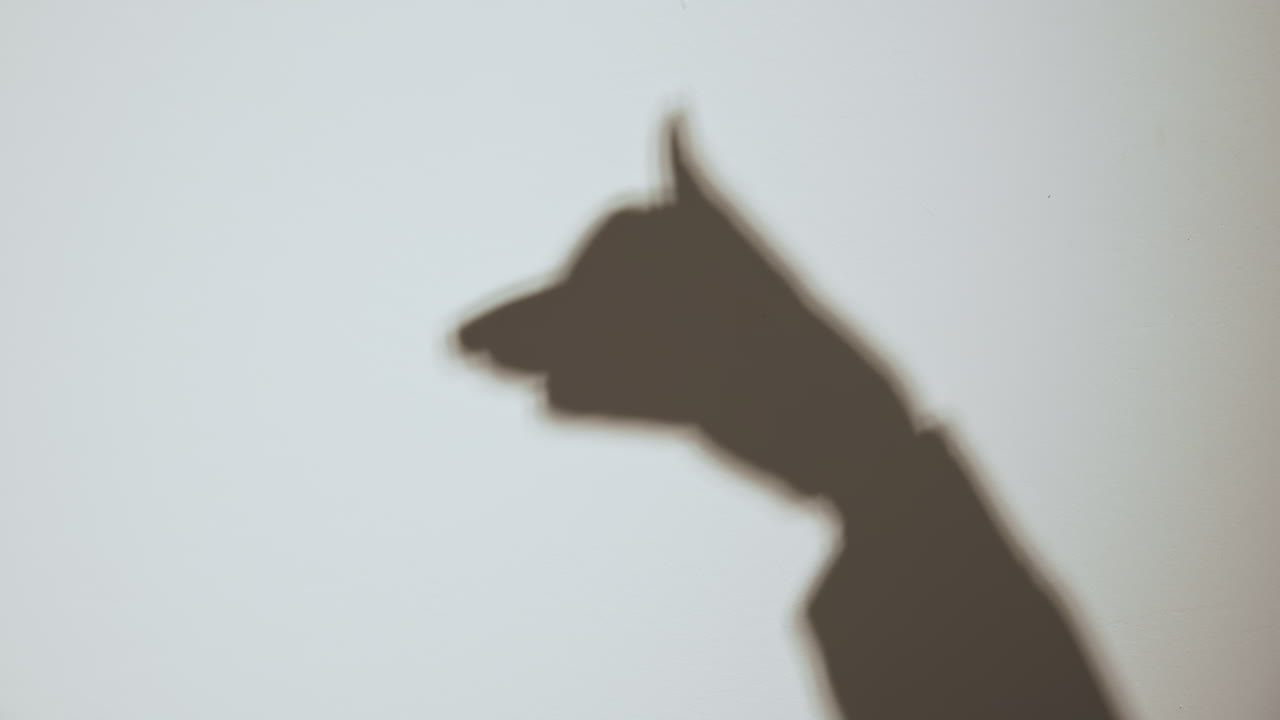 Soft focus hand shadow forming a dog silhouette on a neutral wall