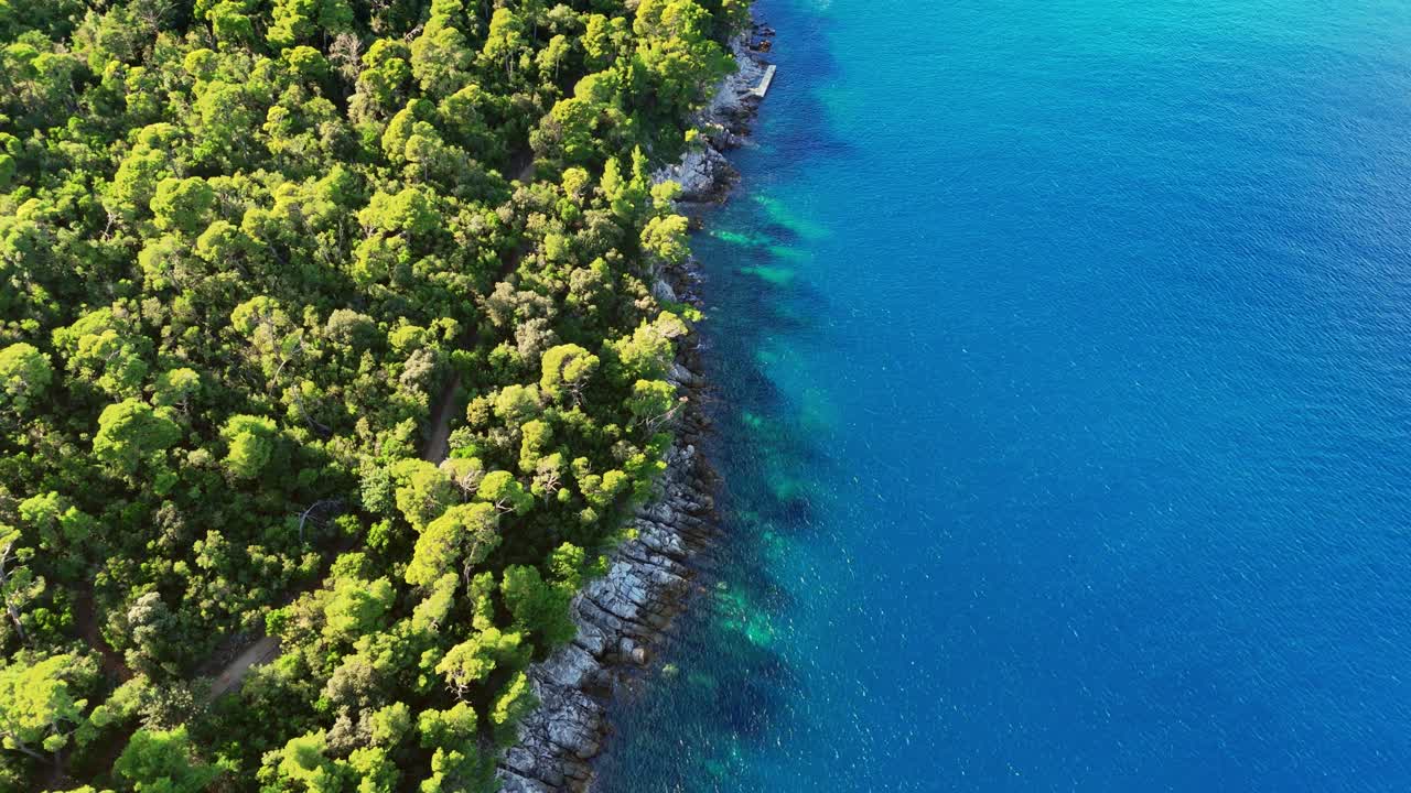 An aerial drone shot of an island off the coast of croatia with a rocky shore and beautiful green forest trees under warm sunlight. The clear, blue Adriatic Sea water covers other half of the scene