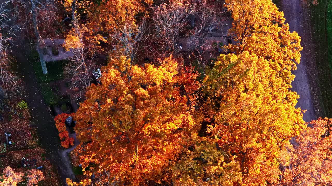 Aerial view of a park garden during the fall season showcasing vibrant autumn foliage
