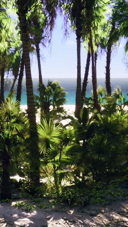 tropical beach paradise: palm trees and ocean view