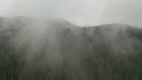 aerial shot through clouds to mountain pine forrest pacific north west