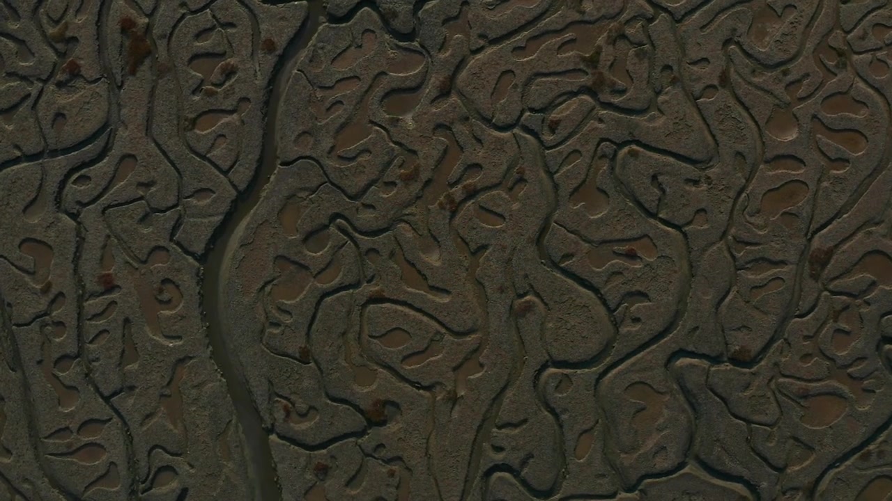 Muddy zone, at the end of a bay of 30 km of extension, channels formed by the tides.