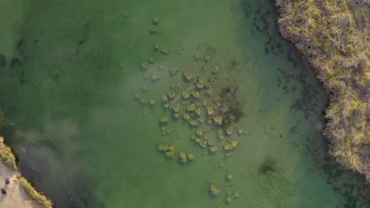 Aerial view of ancient Stromatolites: prehistoric rock-like structures formed by bacteria. Fossils from Precambrian. Cuatro cienegas, Coahuila Mexico