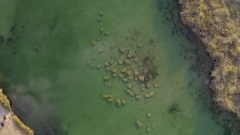 aerial view of ancient stromatolites: prehistoric rock-like structures formed by bacteria. fossils from precambrian. cuatro cienegas, coahuila mexico