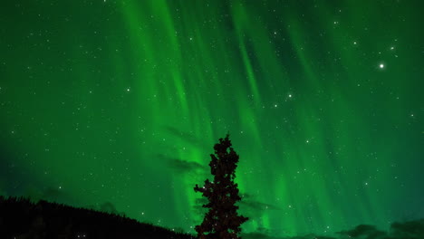 Video-De-Apertura-De-La-Aurora-Boreal-Apto-Para-Videos-De-Viajes,-Introducciones,-Videos-De-Sobrevuelo-O-Videos-De-Blogs