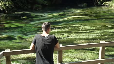 slowmo - joven caucásico desde atrás mirando la primavera azul de putaruru en nueva zelanda