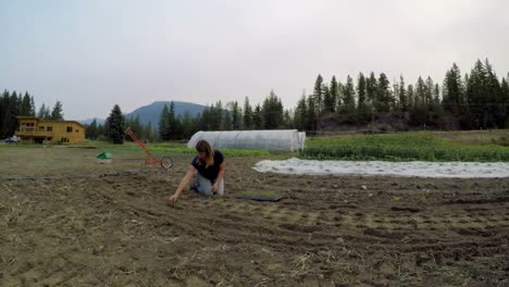woman seedlings in the farm 4k