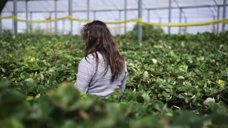 Asian-Woman-With-Long-Hair-Inside-The-Greenhouse