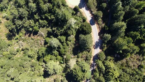 Video-Aéreo-De-Una-Carretera-Conducida-Por-Automóviles,-Dentro-De-Un-Hermoso-Bosque-De-Pinos-En-Las-Montañas-De-Santa-Cruz,-California