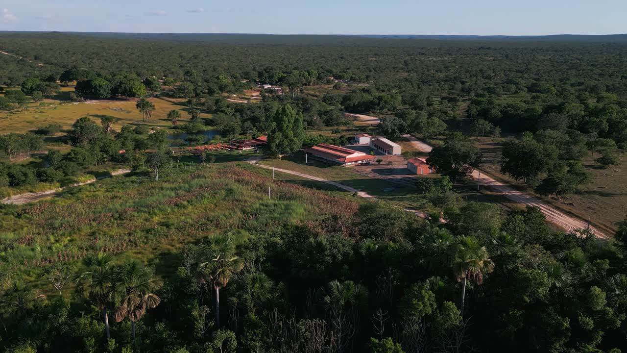 Vista aerea del Cerrado brasiliano catturata da un drone, che mostra un tortuoso corridoio fluviale e un insediamento rurale remoto, una fazenda integrata nel paesaggio della savana tropicale, Goias, Brasile