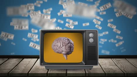 Brain-on-a-television-screen