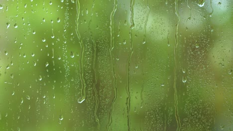 nature water rainfall, rain drops texture on window glass, blurred green trees