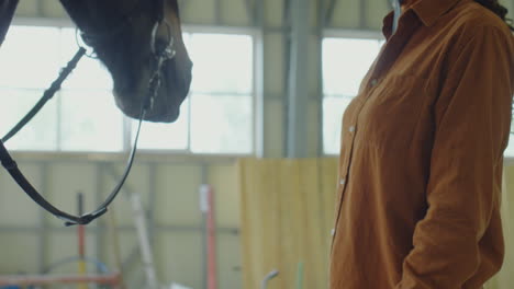 person interacting with a horse in an indoor stable