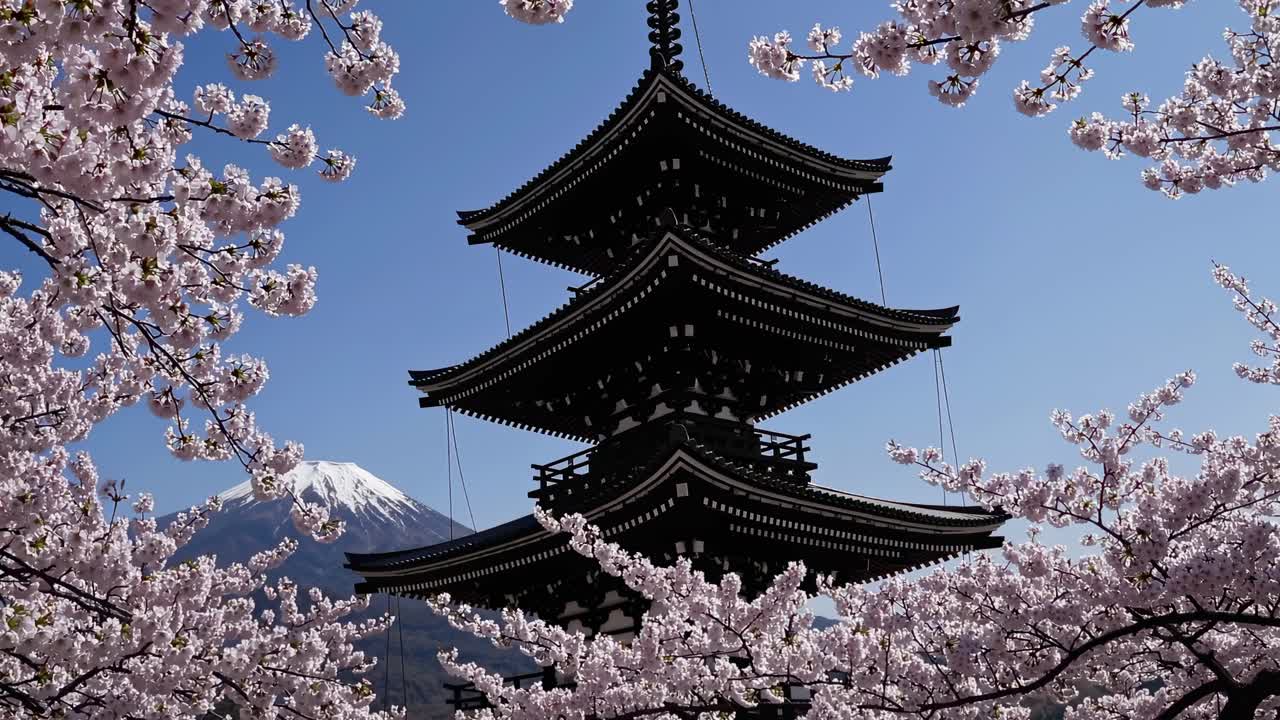 Pagoda tradizionale giapponese con il monte Fuji e i fiori di ciliegio