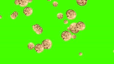 las verduras que caen animación croma elemento clave bucle, apio
