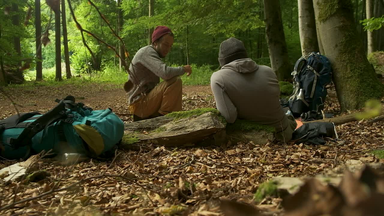 This clip is ideal for adventure travel content. It showcases the experience of trekking through the wilderness and the simple moments of rest along the way