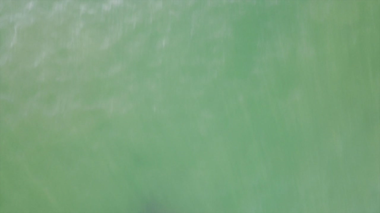 Ripresa drone all'alba dei promontori di Sydney dall'acqua.