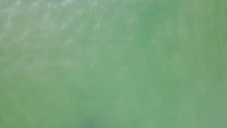 sunrise drone shot of sydney headlands from over the water