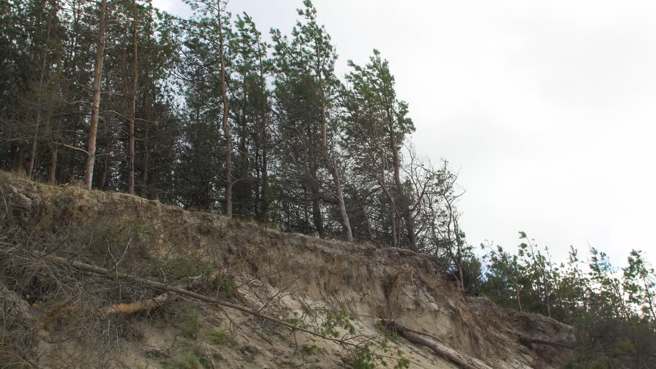 vista de la costa del mar báltico en un día nublado, dunas escarpadas de la costa dañadas por las olas, pinos rotos, erosión costera, cambios climáticos, toma de mano mediana