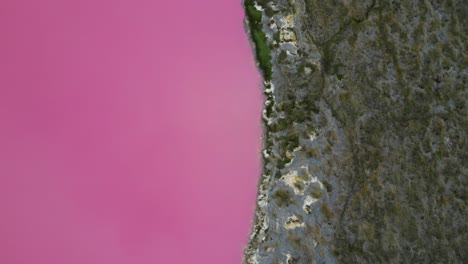 overhead view of hutt lagoon pink lake, hutt lagoon marine salt lake, australia