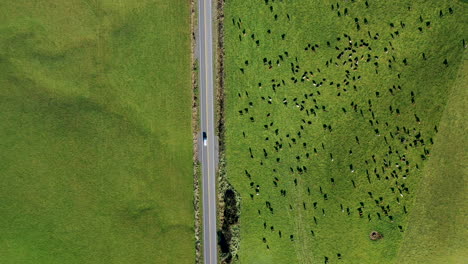 Drone-Disparó-ángulo-Descendente-Furgoneta-Conduciendo-En-El-País-Hacia-Las-Montañas-Nueva-Zelanda