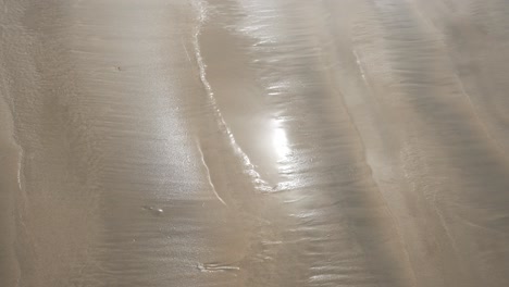 sunlight reflects on a wet sandy beach at low tide, creating a beautiful and serene scene