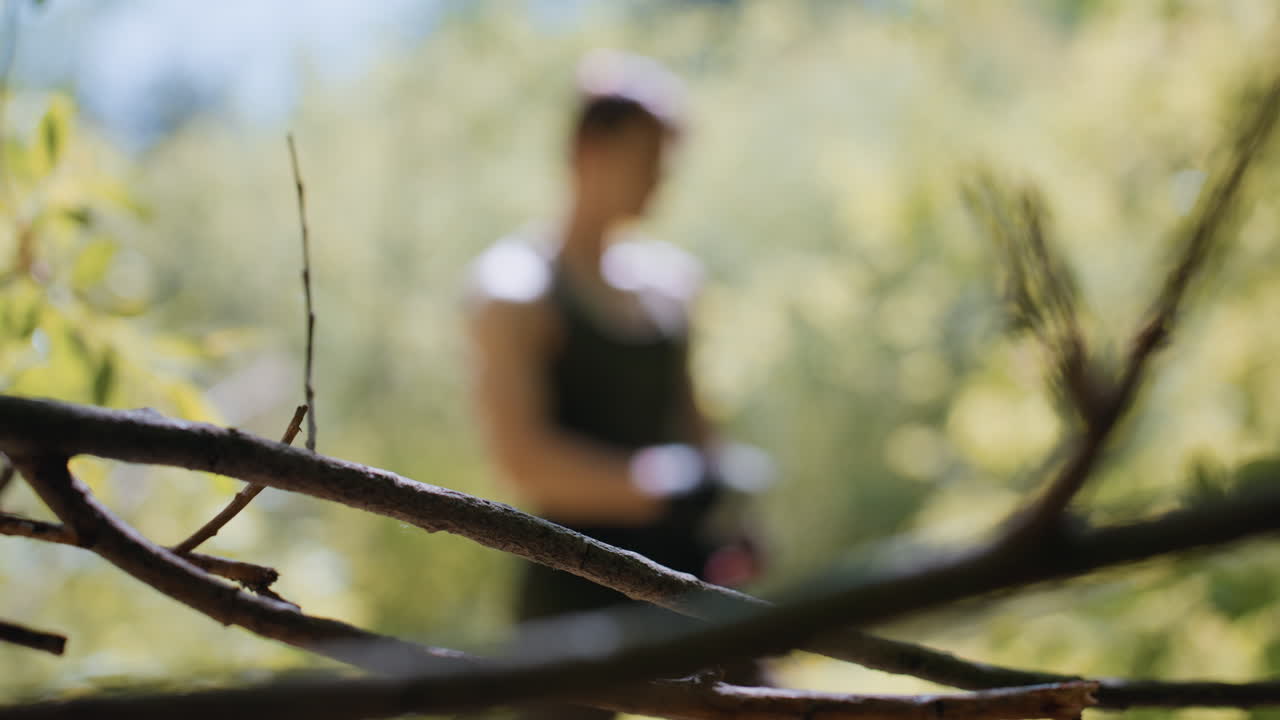 Sharp focus on dry woodland branch highlighted by warm sunlight filtering through green leaves, blurred tourist removing gloves at waist under dappled forest canopy in serene summer scene