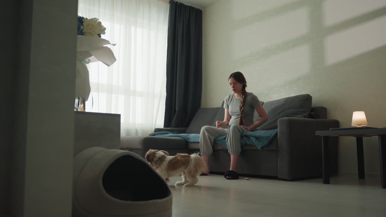 Güneş alan oturma odasında koltukta oturan hamile beyaz bir kadın, küçük köpeğini nazikçe okşuyor. Duvarda yumuşak gölgeler, rahat bir battaniye ve parlayan bir lamba ile huzurlu bir annelik anı, bağı ve sakin bekleyişi yakalıyor.