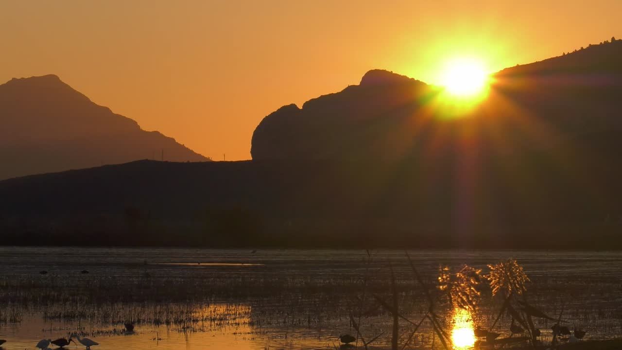 salida del sol sobre el campo de arroz inundado, paisaje inusual, españa