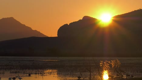 Sonnenaufgang-über-überflutetem-Reisfeld,-Ungewöhnliche-Landschaft,-Spanien