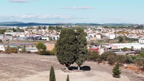 Ubicado-En-La-Encantadora-Ciudad-De-Saint-Aunes,-Dos-Majestuosos-Cipreses-Se-Alzan-Orgullosos