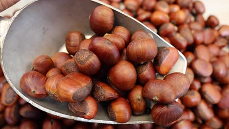 hand using a scoop to gather chestnuts.