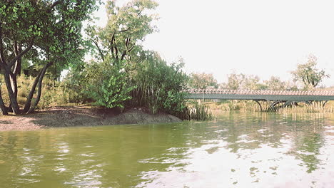 paisaje de estanque de bosque verde de verano