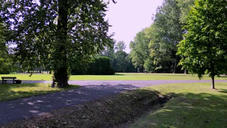 caminar en el parque en un día soleado