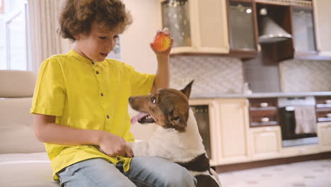 Blond-Boy-With-Curly-Hair-Sitting-On-The-Couch-While-Playing-With-His-Dog-1