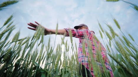 mujer joven agricultora espigas de trigo el tiro de ángulo inferior