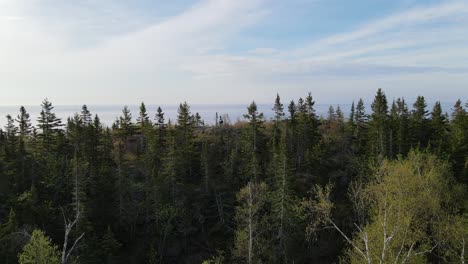 aerial footage top of threes forest in minnesota lake superiors north shore