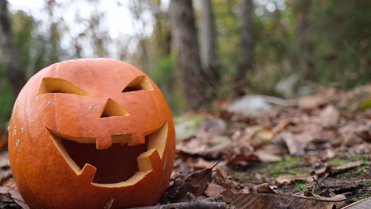 halloween aterrador calabaza espeluznante brillando en el bosque de otoño
