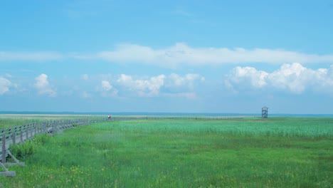 time lapse of beautiful white fast moving clouds and sky in sunny day with people walking towards lake liepāja birdwatching tower, wide shot