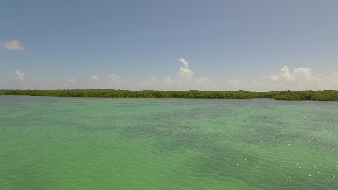atravesando los manglares de lac bay en bonaire.