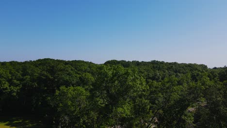 Descenso-Más-Lento-Sobre-árboles-Y-Pinos