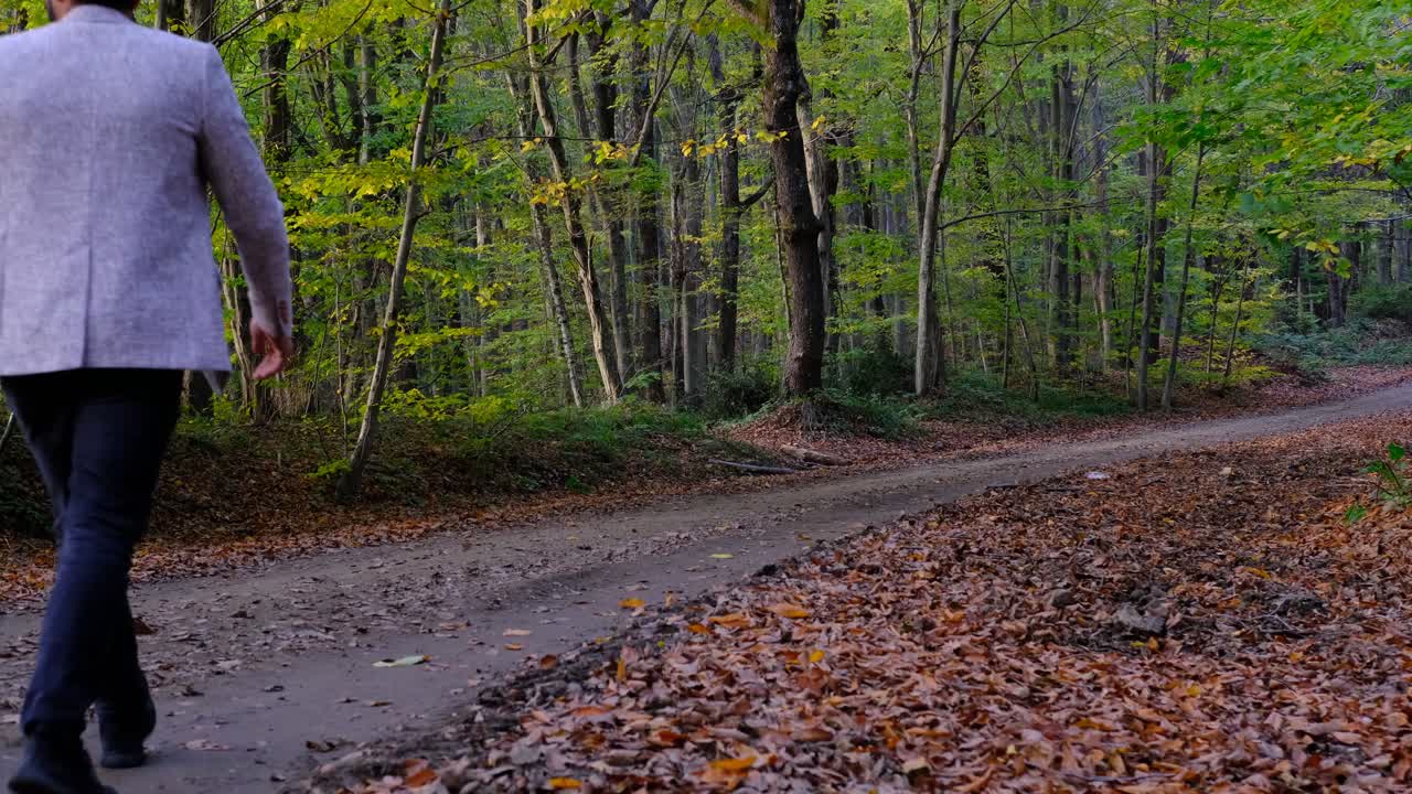 Walking Road Autumn