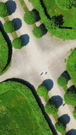 aerial view of a formal garden with topiary and pathways